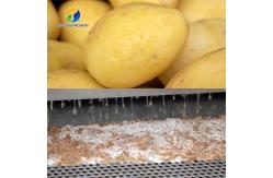 China Carrot Brush Commercial Electric Potato Peeler , Sweet Potato Scraper Machine supplier