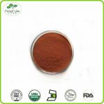Grape Seed Extract Proanthocyanidin / Organic Grape Seed Extract Powder for sale