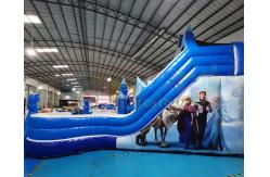 China Frozen Double Jumping Bouncer Inflatable Water Slide With Pool supplier