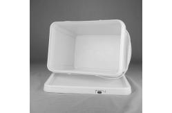 China Food Grade 20kg Rectangular Plastic Packaging Drum With Lid And Dual Handles supplier