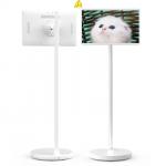 21.5Inch Floor Standing Smart TV Lcd Smart Display Indoor Android 12 Standby Me TV for sale