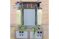China Gourds Medium Sized Melon Fruit And Vegetable Peeler Machine Double Headed supplier