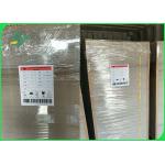 One Side Coated Surface Food Grade Paper Roll 100% Virgin Pulp Material