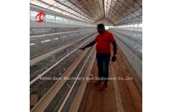 China High Rearing Efficiency For Chicken Farm Poultry Farming Cage System Sandy supplier