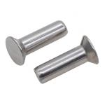 GB869 A2-70 120 Degree Countersunk Head Rivets Stainless Steel for sale