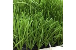China Synthetic Fibrillated Grass Yarn supplier