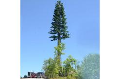 China Bionic Beautification Bionic Tree Communication Camouflage Tower supplier