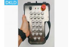 China Ocean Fluid Intrinsic Safety Explosion-Proof 22 Channel Industrial Wireless Remote Control supplier