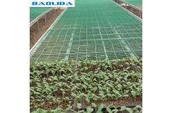 China Seedbed Ebb Plastic Greenhouse Tables Stable Structure ISO9001 Certification supplier