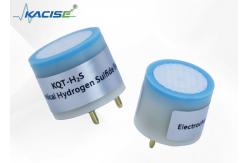 China H2S Gas Detector - A Reliable Alternative to Alphasense supplier