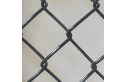 China Electro Galvanized Diamond Wire Mesh 2inch Chain Link Farm Fence supplier