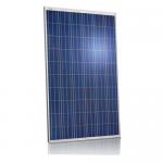 Black PV Solar Panels / Monocrystalline Silicon Solar Panels Water Resistance for sale