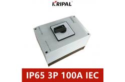 China Four Pole IP65 Electrical Changeover Cam Switch 100A 230-440V supplier