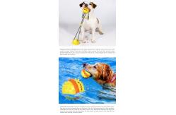 China Slow Feeder Interactive Pet Toys Water Floating Dog Teeth Brushing Toy supplier