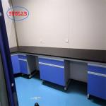 Customizable Chemistry Lab Furniture  Modular Lab Furniture Manufacturers for Classic and Performance for sale