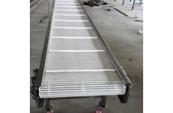 China                  Palletizing Roller Conveyor for Carton and Bag, with Pallet Magazine              supplier