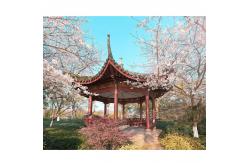 China Custom Chinese Garden Antique Design Solid Leisure Pavilion WaterProof supplier