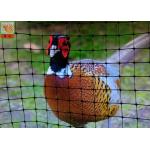 Pheasant Fence Net, Plastic Poultry Netting, Chicken Netting Fence, Eco Friendly, Black Color for sale