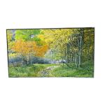 LD860EQY-SMN1 86.0 inch 3840*2160 LCD Panel Display for sale