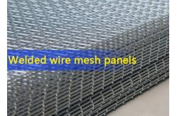 China 50x50mm aperture galvanized fence 4mm welded wire mesh panel supplier