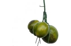 China Decorative High Imitation Artificial Coconut Fruit Plastic Durable supplier