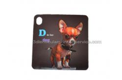 China 3D Flash Card Lenticular 3d Pictures Animal Design For Kids Gift supplier