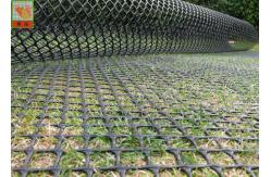 China Grass Protection Turf Reinforcement 650GSM Garden Mesh Netting supplier