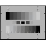 Professional Resolution Test Chart Two 9 Graduated Counter Current Gray Scales for sale
