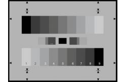 China Professional Resolution Test Chart Two 9 Graduated Counter Current Gray Scales supplier
