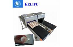 China 4A Free Upgrade Eggs Food Inkjet Printer With Full - Disk Printing Method supplier
