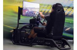 China 15Nm Servo Motor Direct Drive Esports Racing Simulator supplier