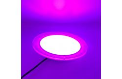 China Underwater Soft Resin Filled DC12V Swim Pool Light supplier