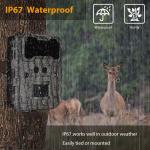 Dual Lens 1080P Video 30MP Image Trail Forest Camera Two Sensors for sale