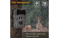 China High Sensor Resolution Wildlife Camera 13MP Cmos Dual Lens Trail Camera supplier
