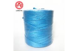 China 100% Polypropylene Fibrillated UV Treated PP Tomato Tying Twine 1 Strand Twisted supplier