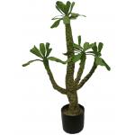 Height 100cm Artificial Landscape Trees Pachypodium Lamerei Drake Indoor Decor for sale