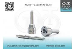 China L157PBD Nozzle For Common Rail Injectors R04701D /A 6640170221 supplier