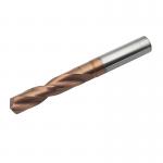 Tungsten Inner-Coolant Hole Carbide Drill Bits Cutting Tools/2 Flute for sale
