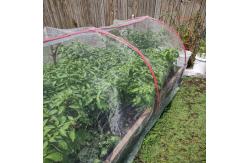 China 3m Anti mosquito screen 50 Mesh To Protect Vegetables Anti Bug Mesh supplier