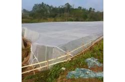 China 30 Mesh 100g/M2 Anti Mosquito Garden Netting / Bug Netting For Garden supplier
