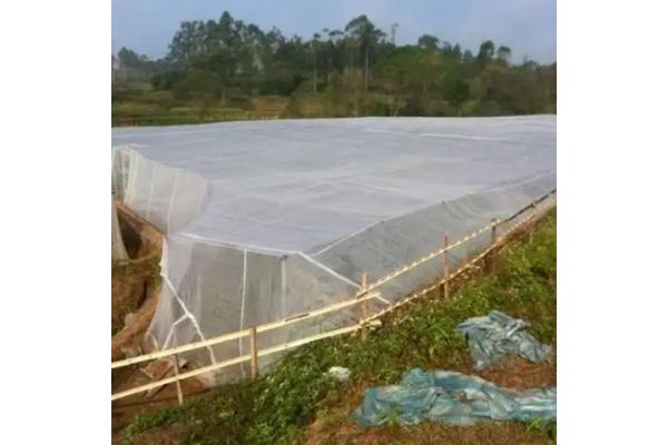 30 Mesh 100g/M2 Anti Mosquito Garden Netting / Bug Netting For Garden