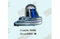 China Inflatable Slides Perfect For Outdoor Events And Amusement Parks supplier