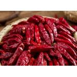 Tianjin Tien Tsin Dried Red Chilli Peppers For Cooking Ingredient for sale