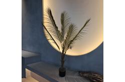 China Realistic Looking Artificial Palm Tree Hypoallergenic and Insect Resistant supplier