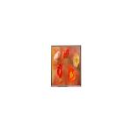 Original C070AWP9 R0 7.0 inch LCD Display Panel for sale