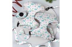China Reversible Small Dog Harness And Leash Set Luxury Fashion Dog Walk Set supplier