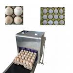 High Analytical Ink Cartridge Batch Number Printing Machine For Eggs