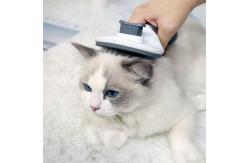 China Pet Hair Remover Comb Portable Self Cleaning Slicker Brush Cats Dogs Reusable supplier