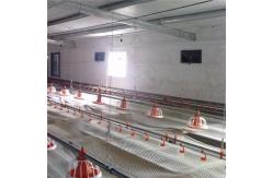 China Pan Chicken Feeding Line 120L Bin Automatic Chicken Feeder supplier