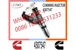 China M11 Engine Injector 4307547 4928517 4903472 3411756 3080429 2080429 supplier